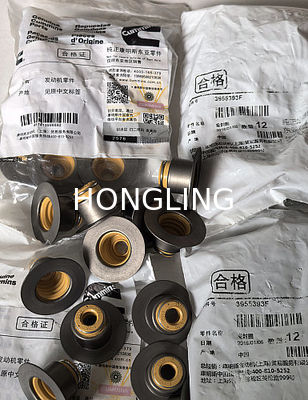 Cummins 6D107 Valve oil seal 3955393