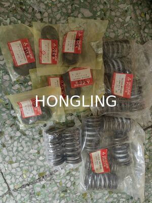 Mitsubishi S6N S12N Valve Spring 36204-00400